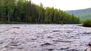 Целебные звуки природы // Шум реки и плеск воды, пение птиц // Расслабляющие звуки Природы