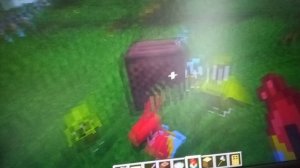 Попугаи и музочка!