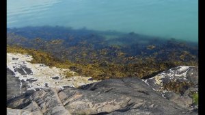 Полуостров Немецкий часть 12 фото