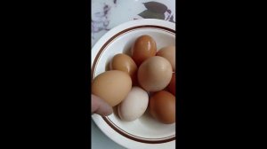 Курочки стали нести золотые яйца.