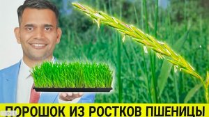 ЭТО ЗАЩИТИТ ВАС ОТ ОНКОЛОГИИ!