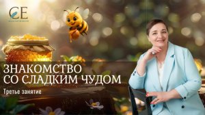ЗНАКОМСТВО СО СЛАДКИМ ЧУДОМ. Третье вводное занятие.