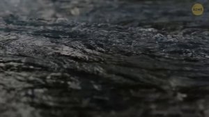 ▶️ Пропавшее грузовое судно найдено на дне океана — всё ещё загружено винтажными автомобилями