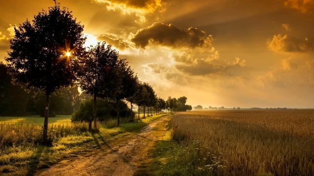 Шедевры инструментальной музыки часть 4