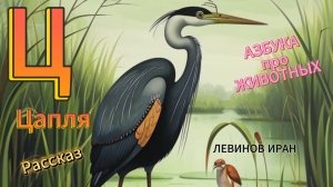Ц. Цапля. Алфавит Азбука Просто. Мир животных и птиц в алфавитном порядке. Автор поэт Левинов Иран