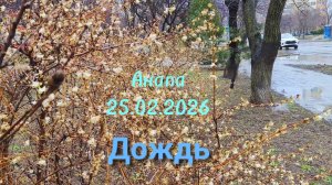 Анапа 25.02.2026 Дождь