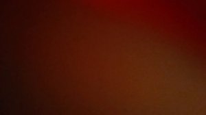 новый домик для сквешей