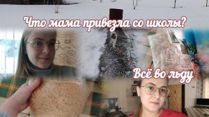 VLOG Что мама привезла со школы?🏫 Всё во льду🥶