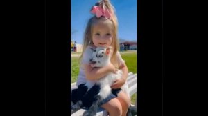 Видео от МЯУтаверс – как метавселенная, но с котами