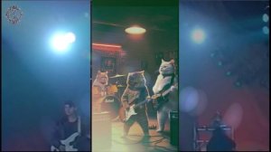 Сектор Газа. Любовь загробная