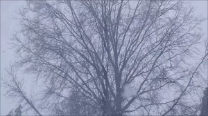 Опасно. Не смотрите в зеркало 26 февраля.