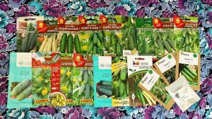 25.02 Самые лучшие огурчики на сезон 2026.Подробный обзор по желанию зрителей.