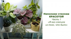 Наполняем стеллаж красотой. Часть 1. Я его слепила из того что было!