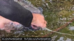 🎣 Высокогорная Рыбалка: Установка Ловушек, Сбор 20 Кг Карповых на Продажу