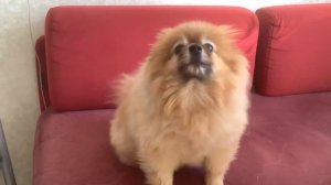 А поговорить?