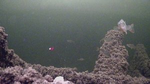 Зимняя рыбалка