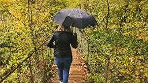 Дорохово_подвесной мост через реку Руза