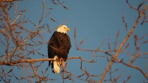 Правдивая Ольга. Самвел Адамян-исповедь о бывших. Всем всё сказал