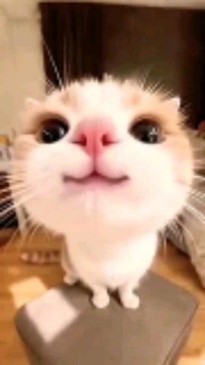 болтаю с pixel verdict