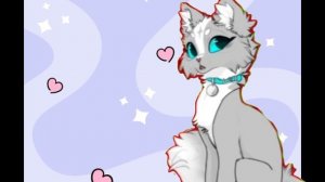 Что снимать???