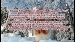Приметы на 26 февраля: что нужно сделать с мусором и что предсказывает вода