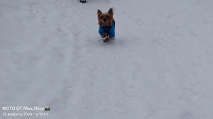 Я ОРУ БЛОГЕРАМ, РАБОТАЙТЕ НАД СВОИМ КОНТЕНТОМ В РЕДАКТОРЕ!!!