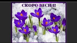 Отчего так желанен февраль, Стихи Чудина Ирина, муз. и исп. #СамуилФрумович