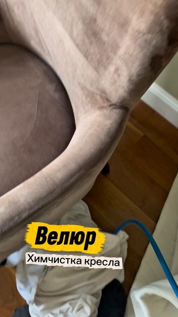 Его величество ВЕЛЮР