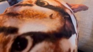 1 серия сериала новый герой