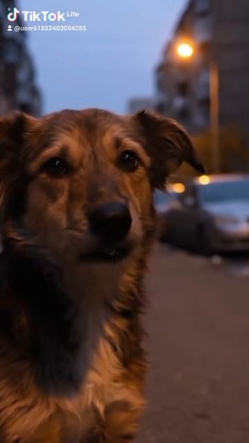 1000000962.mp4 смотреть онлайн