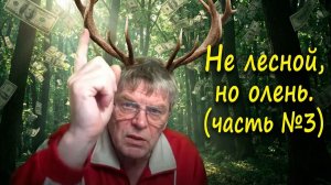 1617. Не лесной,но Олень (часть №3)