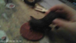 Гринч устал лежать