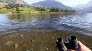 Трейлер Way of the Hunter 2 (Steam)