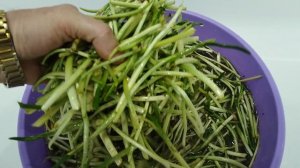 ЧЕРЕМША. Только из леса