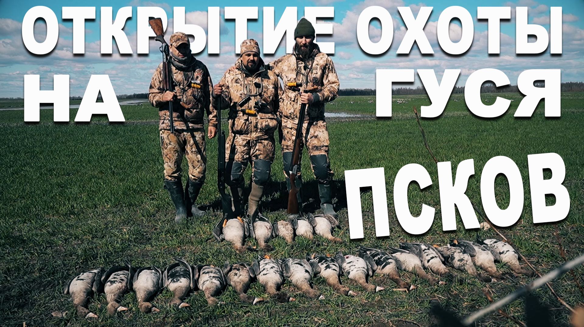 Охота на весеннего гуся в Пскове смотреть онлайн