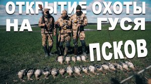 Охота на весеннего гуся в Пскове