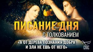 «А от дерева познания добра и зла не ешь от него» / Писание дня