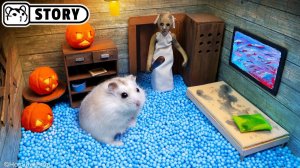 🐹 Хомяк сбегает из лабиринта «Бабуля» для домашних животных на Хэллоуин 🐹 Хомяк Хомура