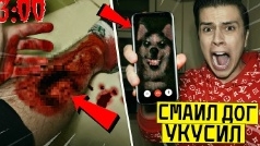Смайл дог Укуси меня никогда не призывай сам док в 3:00 ночи