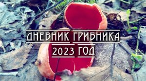 Дневник грибника. 2023 год
