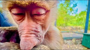 Манечка ТАК ЖДЁТ меня, ей никто больше не нужен, только мама)