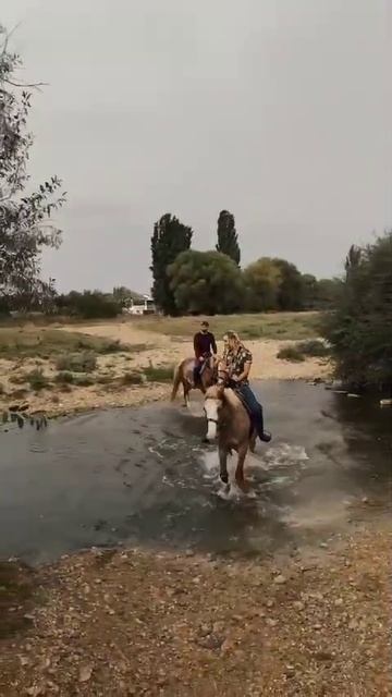 Белая скала. Cowboy. конные прогулки с Пашей