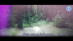 БЕЗОБИДНАЯ АЙФААР