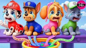 Щенячий патруль и Маршалл. Залипательное видео. Мультфильм для детей и малышей. Анимация 298