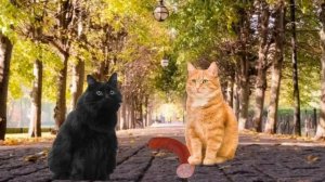 Унизил🤫🧏😎