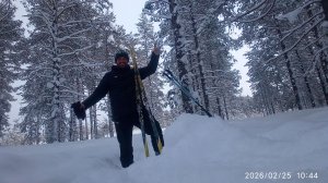 Одиночный лыжный поход в лес . погода -12 . 25. 02. 2026 год.
