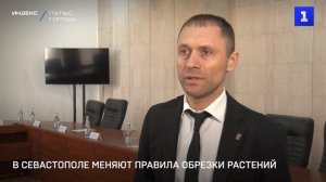 В Севастополе меняют правила обрезки растений