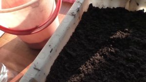 Мой рассадный грунт