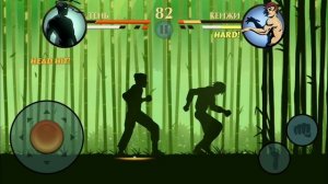 Shadow fight #1