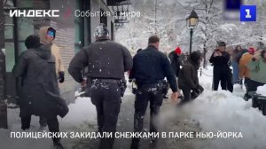 Полицейских закидали снежками в парке Нью-Йорка